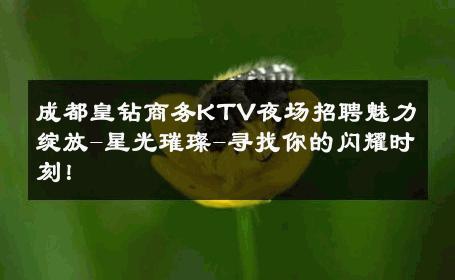 成都皇钻商务KTV夜场招聘魅力绽放-星光璀璨-寻找你的闪耀时刻！ 
