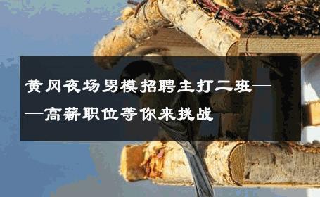 黄冈夜场男模招聘主打二班——高薪职位等你来挑战 