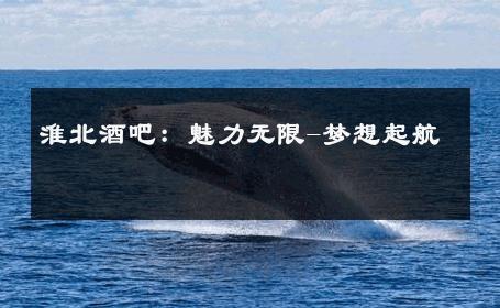 淮北酒吧：魅力无限-梦想起航 