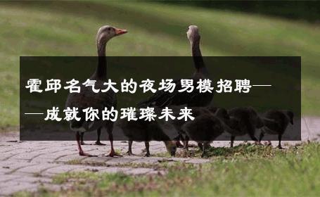 霍邱名气大的夜场男模招聘——成就你的璀璨未来 