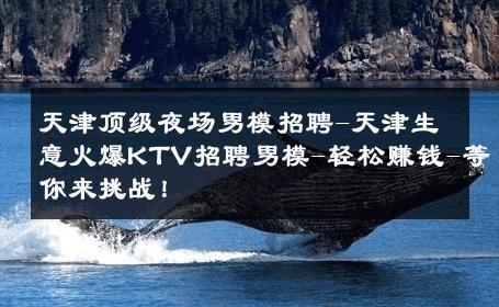 天津顶级夜场男模招聘-天津生意火爆KTV招聘男模-轻松赚钱-等你来挑战！ 