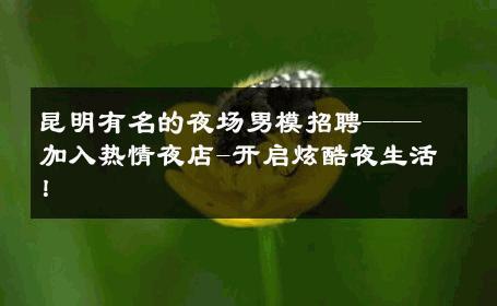 昆明有名的夜场男模招聘——加入热情夜店-开启炫酷夜生活！ 