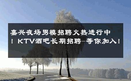嘉兴夜场男模招聘火热进行中！KTV酒吧长期招聘-等你加入！ 