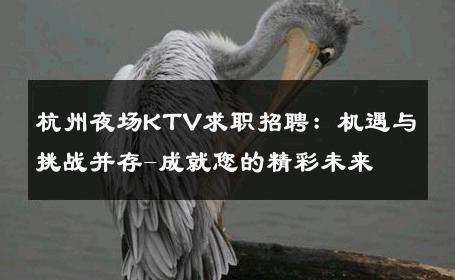 杭州夜场KTV求职招聘：机遇与挑战并存-成就您的精彩未来 