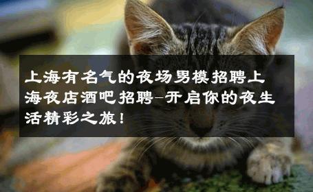 上海有名气的夜场男模招聘上海夜店酒吧招聘-开启你的夜生活精彩之旅！ 