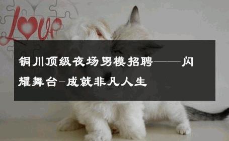 铜川顶级夜场男模招聘——闪耀舞台-成就非凡人生 