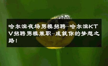 哈尔滨夜场男模招聘-哈尔滨KTV招聘男模兼职-成就你的梦想之路！ 