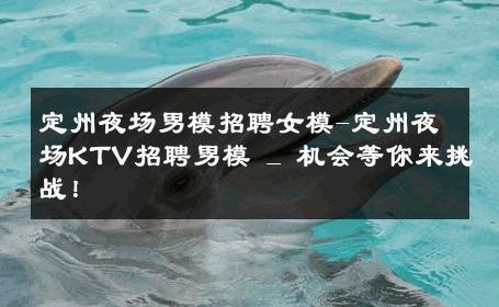定州夜场男模招聘女模-定州夜场KTV招聘男模 _ 机会等你来挑战！ 