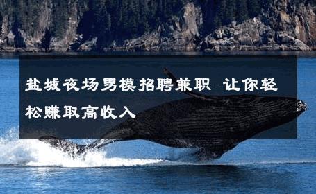 盐城夜场男模招聘兼职-让你轻松赚取高收入 