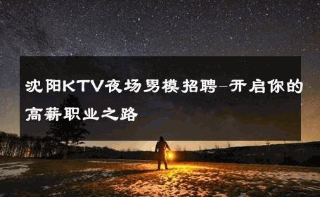 沈阳KTV夜场男模招聘-开启你的高薪职业之路 