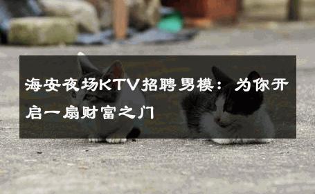 海安夜场KTV招聘男模：为你开启一扇财富之门 