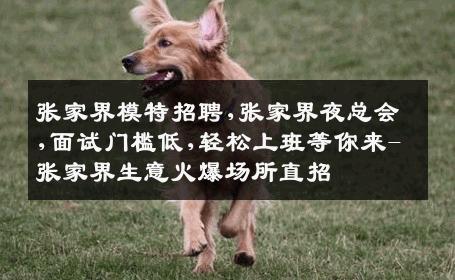 张家界模特招聘,张家界夜总会,面试门槛低,轻松上班等你来-张家界生意火爆场所直招