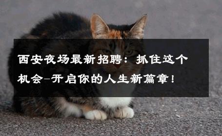 西安夜场最新招聘：抓住这个机会-开启你的人生新篇章！ 