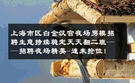 上海市区白金汉宫夜场男模招聘生意持续稳定天天翻二班——招聘夜场精英-速来抢位！ 