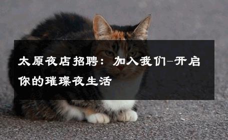 太原夜店招聘：加入我们-开启你的璀璨夜生活 