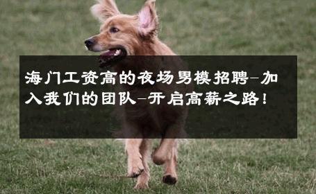 海门工资高的夜场男模招聘-加入我们的团队-开启高薪之路！ 