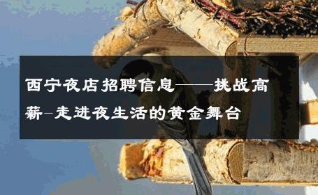 西宁夜店招聘信息——挑战高薪-走进夜生活的黄金舞台 