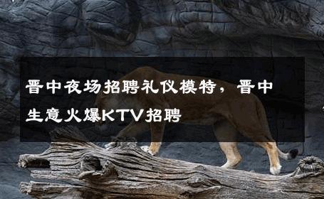 晋中夜场招聘礼仪模特，晋中生意火爆KTV招聘