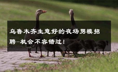 乌鲁木齐生意好的夜场男模招聘-机会不容错过！ 