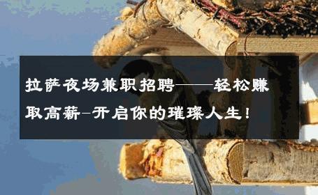 拉萨夜场兼职招聘——轻松赚取高薪-开启你的璀璨人生！ 