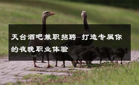 天台酒吧兼职招聘-打造专属你的夜晚职业体验 