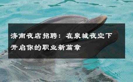 济南夜店招聘：在泉城夜空下开启你的职业新篇章 