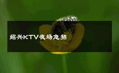绍兴KTV夜场急招 
