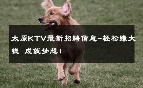 太原KTV最新招聘信息-轻松赚大钱-成就梦想！ 