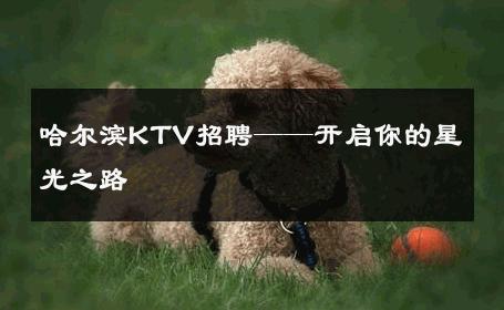 哈尔滨KTV招聘——开启你的星光之路 