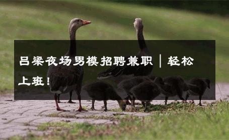 吕梁夜场男模招聘兼职｜轻松上班！ 