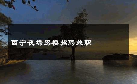 西宁夜场男模招聘兼职 