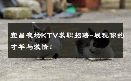 宜昌夜场KTV求职招聘-展现你的才华与激情！ 