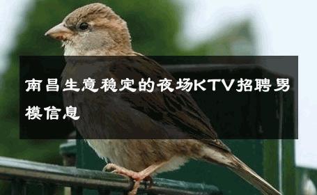 南昌生意稳定的夜场KTV招聘男模信息 