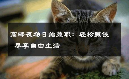 高邮夜场日结兼职：轻松赚钱-尽享自由生活 