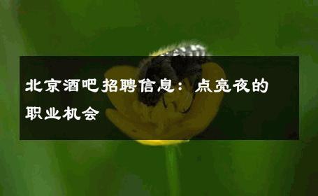 北京酒吧招聘信息：点亮夜的职业机会 