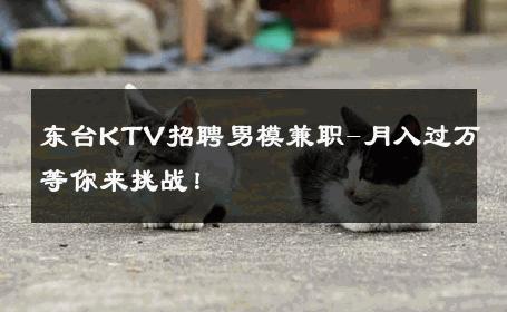 东台KTV招聘男模兼职-月入过万等你来挑战！ 
