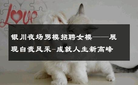 银川夜场男模招聘女模——展现自我风采-成就人生新高峰 