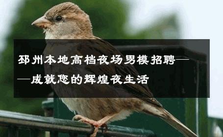 邳州本地高档夜场男模招聘——成就您的辉煌夜生活 
