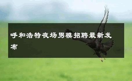呼和浩特夜场男模招聘最新发布 