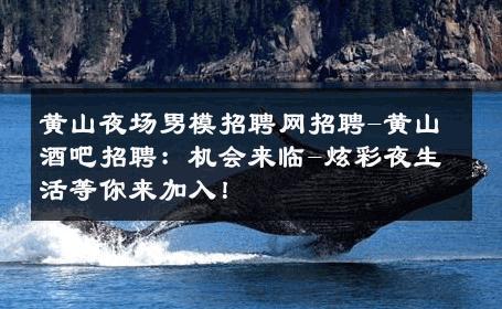 黄山夜场男模招聘网招聘-黄山酒吧招聘：机会来临-炫彩夜生活等你来加入！ 