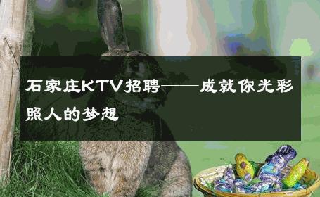石家庄KTV招聘——成就你光彩照人的梦想 