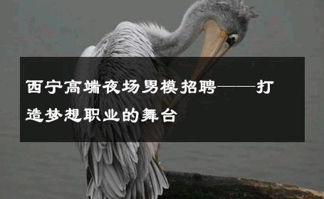 西宁高端夜场男模招聘——打造梦想职业的舞台 