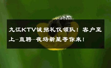 九江KTV诚招礼仪领队！客户至上-直聘-夜场新星等你来！ 