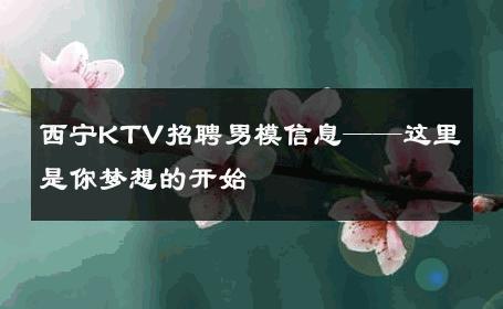 西宁KTV招聘男模信息——这里是你梦想的开始 