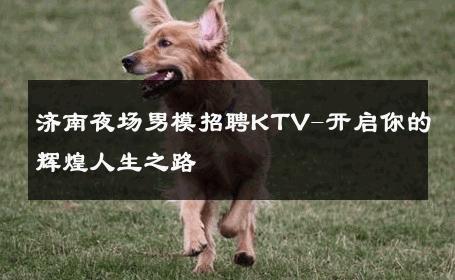 济南夜场男模招聘KTV-开启你的辉煌人生之路 