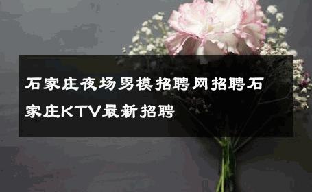 石家庄夜场男模招聘网招聘石家庄KTV最新招聘 