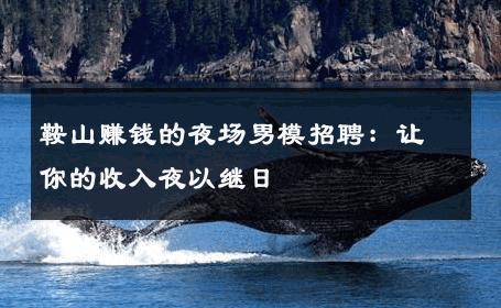 鞍山赚钱的夜场男模招聘：让你的收入夜以继日 