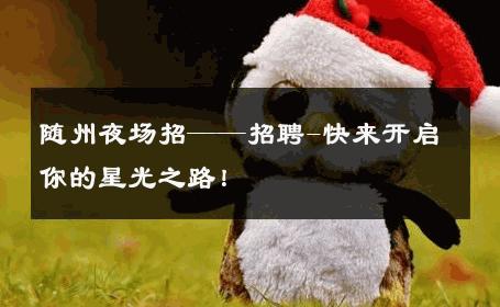 随州夜场招——招聘-快来开启你的星光之路！ 