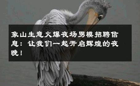 象山生意火爆夜场男模招聘信息：让我们一起开启辉煌的夜晚！ 