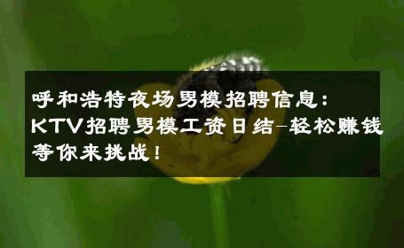 呼和浩特夜场男模招聘信息：KTV招聘男模工资日结-轻松赚钱等你来挑战！ 
